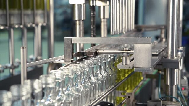 Olive oil in glass bottles moving on production line. Olive oil production factory.