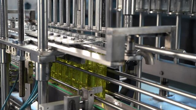 Olive oil in glass bottles moving on production line. Olive oil production factory.