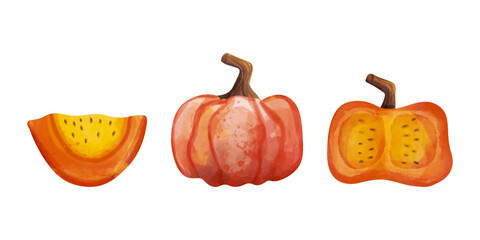 Set of pumpkins. Watercolor vector illustration. Autumn theme.