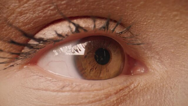 Close up woman eye focusing on human gesturing. Focused woman watch objects near her. Macro female eyes. Person watches hypnotizing index finger. Daylight reflected in the brown eye, pupil close-up.