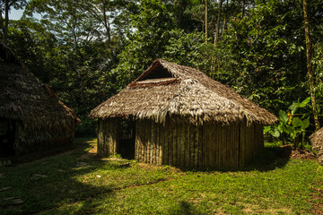 Maloca traditional Indios amazon rainforest house hut panoramic view in the forest under sunshine
