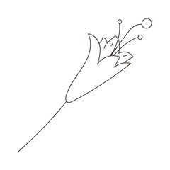 lily flower element coloring book