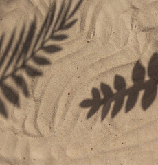 Sand on the beach with tropical leaves shadows frame. Copy space	