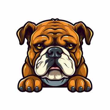 Bull dog Head Cartoon Illustration