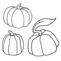pumpkin on a white background for coloring book