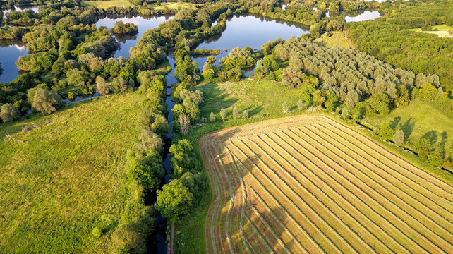 English landscape near Theale - West Berkshire UK
