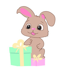 rabbit with gift box
