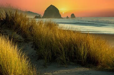 Haystack rock and the needles with beach grass in foreground on the Oregon coast at Cannon Beach