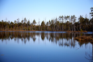 Lake surounded by the forest with blue sky above with few white clouds, selective focus