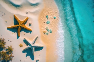 Fototapeta na wymiar Aerial view of the sandy beach. In the sand, there are coral and starfish. Summer, bright day. Generative AI