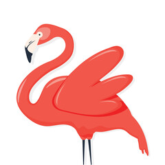 illustration of a flamingo. Pink flamingo on white background. Vector illustration