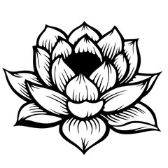 lotus flower vector