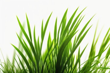 Obraz premium close-up view of green leaves of a plant. Generative AI