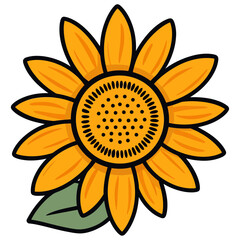 Open unflower colored illustration. Hand painted flowers. Sunflower isolated on white background