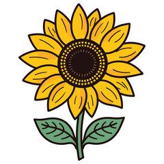 Open unflower colored illustration. Hand painted flowers. Sunflower isolated on white background