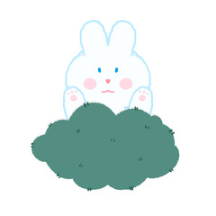 chubby bunny little cute rabbit love carrot happy in every day