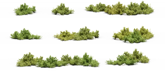 Foto op Plexiglas set of bushes photorealistic 3D rendering with transparent background, for illustration, digital composition, architecture visualization © ANDRIBENKY