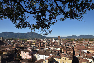 Toits et campaniles à Lucca en Toscane. Italie