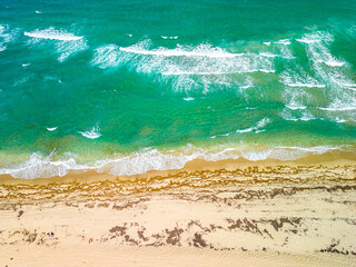 Phipps Ocean Park and Ibis Isle, West Palm Beach, Florida