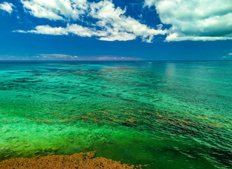 Obraz premium Bahia Honda State Park - Calusa Beach, Florida Keys - tropical beach - USA.