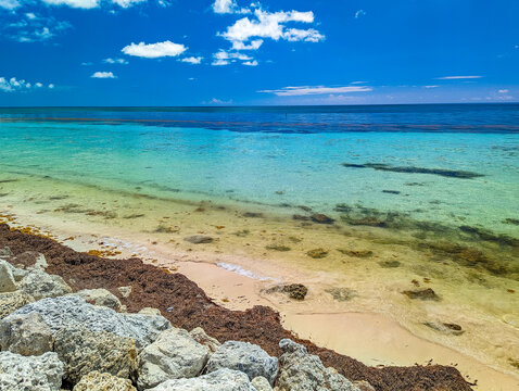 Bahia Honda State Park - Calusa Beach, Florida Keys - tropical beach - USA.
