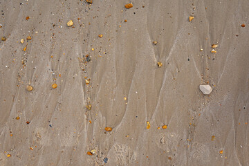 Beautiful background of wet sand with pebbles at the seaside. With space for text.