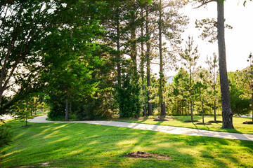 THE WOODLANDS, TEXAS - MAY 18th 2023: backdrops and backgrounds of Houston suburbs photographed in a golden hour featuring pine trees, tall grass, water canal with stone bridges and a colorful goose