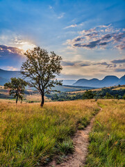 Obraz premium Vertical shot of a hiking trail among rolling hills with a tree and sun behind the cloud, Panorama Route, Mpumalanga, South Africa