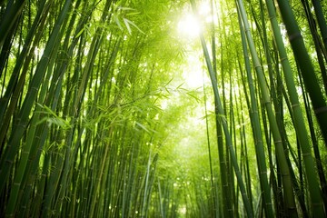 green bamboo forest with AI-Generated Images.