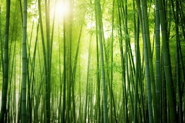Fototapeta premium green bamboo forest with AI-Generated Images.