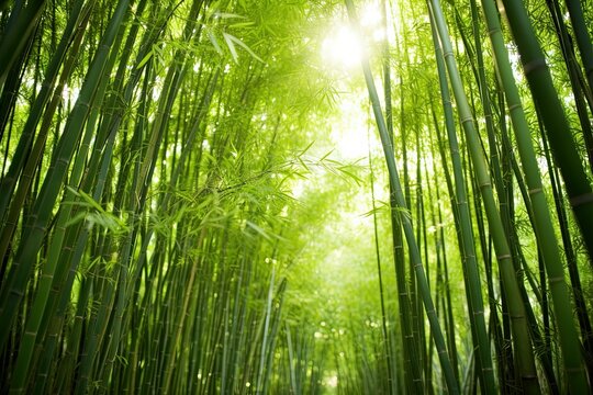 green bamboo forest with AI-Generated Images.