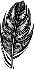 black graphic drawing of a bird feather without background, isolated element, decor