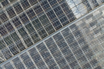 Glass greenhouses from above in sunny weather, big glass houses from aerial panorama landscape view,intensive modern agriculture in Europe