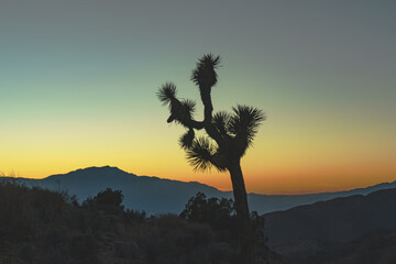 keys view sunset, joshua tree national park