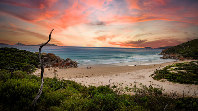 Squeaky Beach" Images – Browse 177 Stock Photos, Vectors, and Video | Adobe Stock