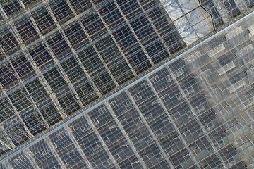 Glass greenhouses from above in sunny weather, big glass houses from aerial panorama landscape view,intensive modern agriculture in Europe