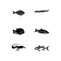 Fish bundle vector illustration on white background