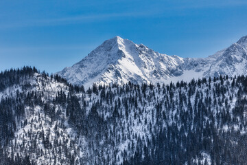 Winter view of the Tatra Mountains on a beautiful sunny frosty day. A lot of snow and trees against the backdrop of high mountains