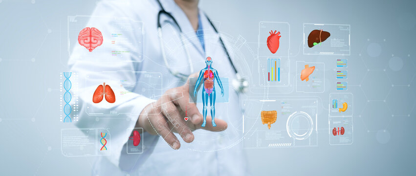 Doctor touch hologram of human system. Medical future technology and innovative concept. The concept support the health of the internal organs of the body.Modern medicine,healthcare,medical insurance