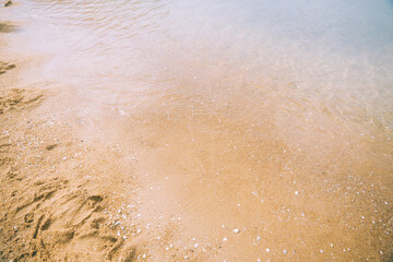 Fototapeta premium ビーチ