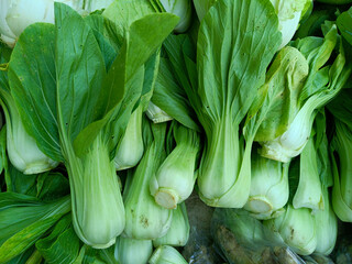 Obraz premium Close-Up of Pakcoy in a Traditional Market
