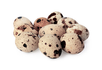 Many speckled quail eggs on white background