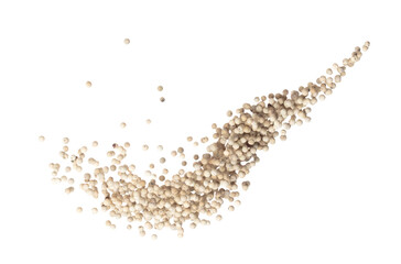 White Pepper seeds fly explosion, white Pepper float explode, abstract cloud fly. Peppercorn splash throwing in Air. White background Isolated high speed shutter, freeze motion