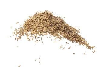 Paddy Rice grain fly in mid air. Yellow Golden Paddy Rice falling scatter, explosion float in shape form line group. White background isolated freeze motion high speed shutter