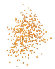 Corn dried seed grain fly in mid air. Yellow Golden corn seed falling scatter, explosion float in shape form line group. White background isolated freeze motion high speed shutter