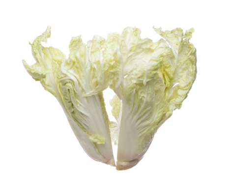 Chinese Cabbage fly fall in mid air, green fresh vegetable chinese cabbage cut chop slice half. Organic fresh vegetable with eaten leaf of chinese cabbage, close up texture. White background isolated