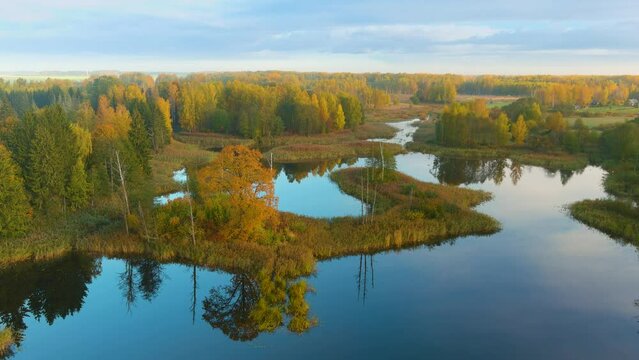Aerial view of Kirkilai karst lakes in sunny autumn morning, Birzai, Lithuania