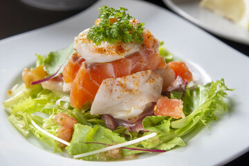 トラウトサーモン