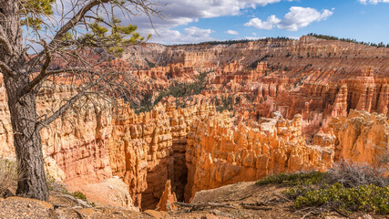 Hoodoos  of Bryce Canyon 2023