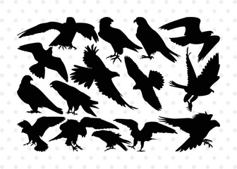Eagle Silhouette, Eagle SVG, Bird Svg, Flying Eagle Svg, Wildlife Svg, Eagle Bundle, SB00259